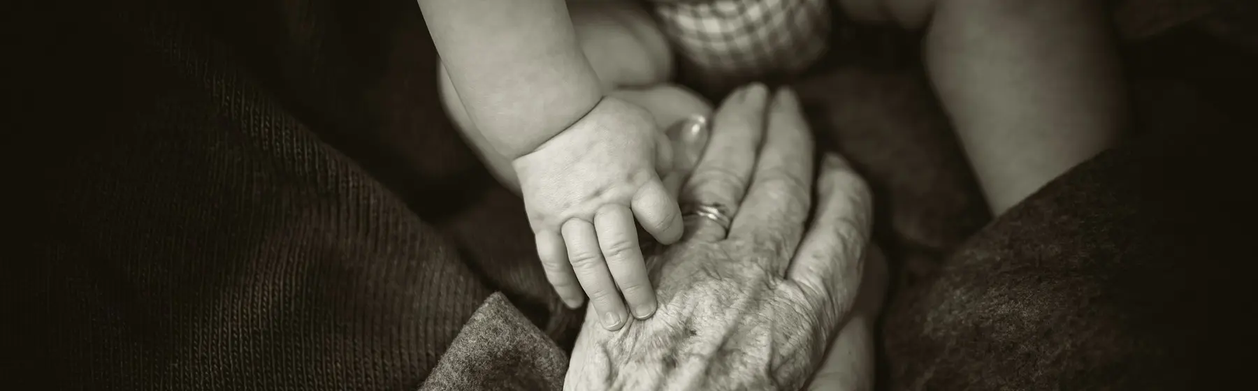Des mains âgées et des mains d'enfant tenant une petite plante
